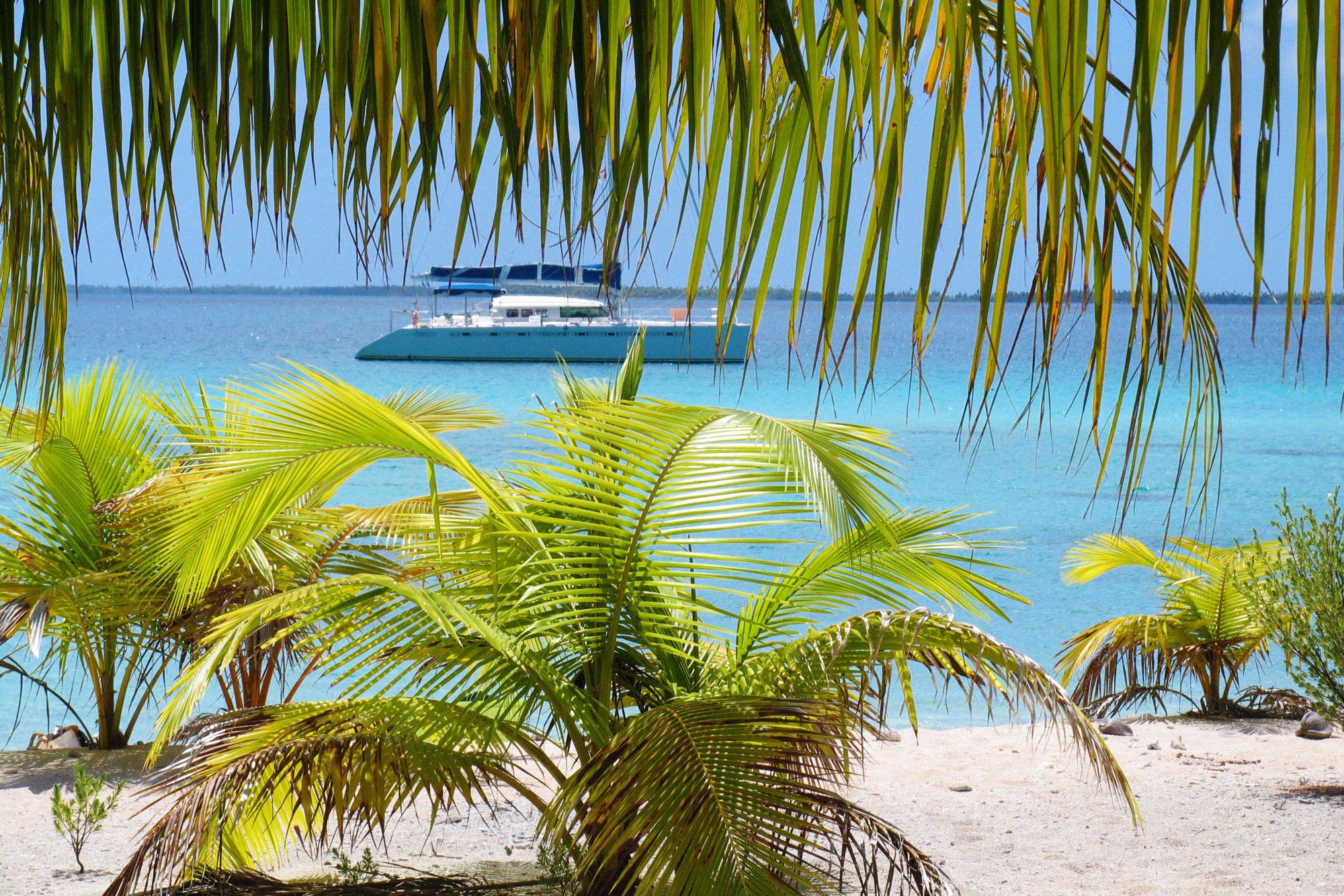 Bahamas Mitsegeln ab Nassau